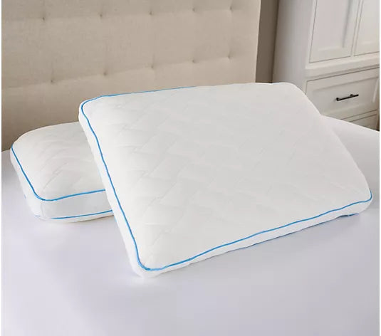 Set of 2 CuddlFoam Pillows Pillows